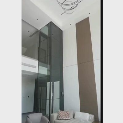 Elevador a travagem por parafuso com porta de aço inoxidável e botão de parada de emergência