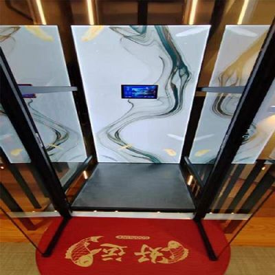 304 SS Elevador hidráulico para casa 400 kg 500 kg Carga Elevador hidráulico para casa