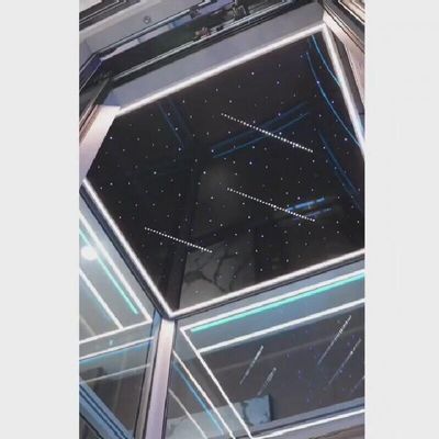 Elevador de casa de tração pitoresca VVVF Control Elevador de cabine de SS sem engrenagem 1 ano de garantia