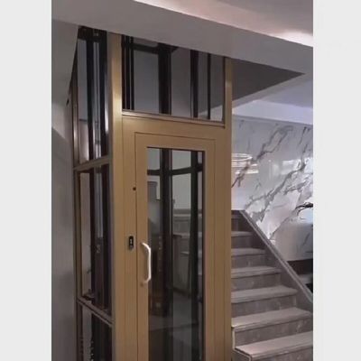 Casa Villa Elevador Tração Elevador Slim E Elegante 0,4-1,0 m/s