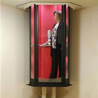 Elevador de protecção de sobrecarga de emergência