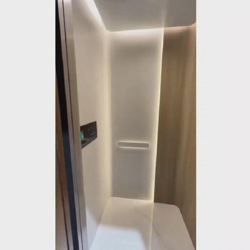Elevador de 220 V AC com porta deslizante automática e capacidade de 400 kg