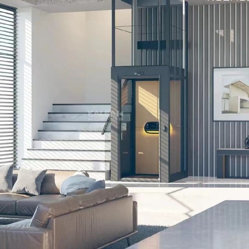 Elevador doméstico a parafuso interno 500 kg Pequenos elevadores para casas