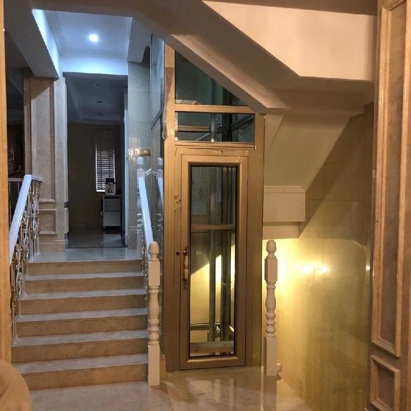 Grandes cilindros Controle de microprocessador Residencial Elevador hidráulico Casa Cabine turística para particulares