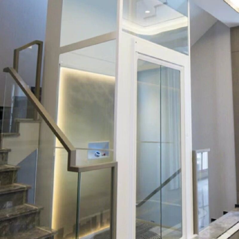 Elevador de cabine de liga de alumínio de fase única com cilindros grandes de 2,9 metros de comprimento e porta automática