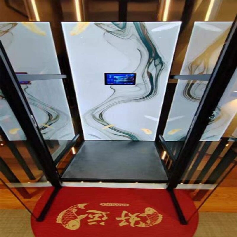 304 SS Elevador hidráulico para casa 400 kg 500 kg Carga Elevador hidráulico para casa