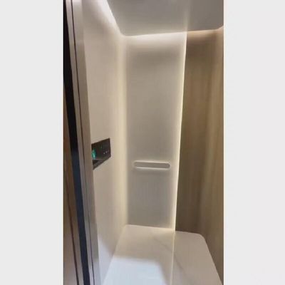 Elevador de 220 V AC com porta deslizante automática e capacidade de 400 kg