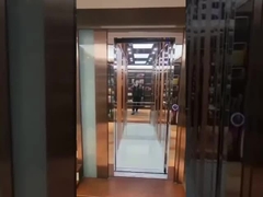 Elevador doméstico de cabos de tração de aço inoxidável funcionando sem problemas 0,6 M/S