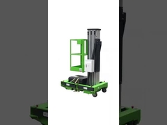 Elevação vertical de mastro único hidráulica elétrica a alturas de trabalho